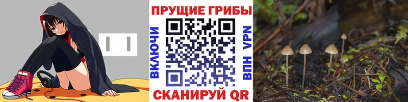 Галлюциногенные грибы мухоморы  цена   Куровское 